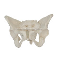 /msite/products/detail/productid/14014959/id/186332.html